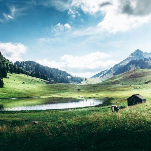 Lake View Land