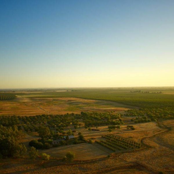 Sunset Valley Plot