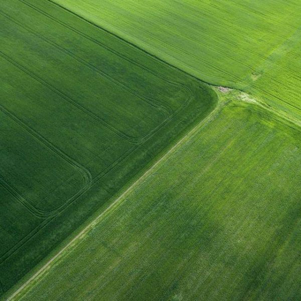 Residential Land Plot